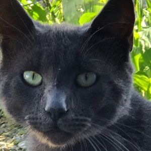 Meet your Posher, Zach